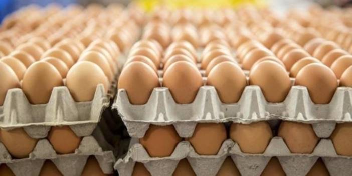 Türkiye’nin ABD’ye yumurta ihracatı kuş gribi etkisiyle arttı