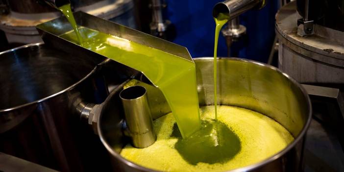 Zeytinyağı fiyatları hızla yükseliyor: "Yok yılı" endişesi artıyor