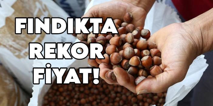 Fındıkta rekor fiyat açıklaması: Piyasa ve TMO'yu geride bıraktı!