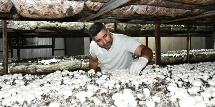 150 kişiye ekmek kapısı oluyor, köyünde işsizliği sonlandırıyor! İstanbul’dan işçi olarak geldi köyünde patron oldu