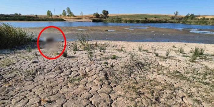 Kuraklığın boyutu gözler önüne serildi! Sular çekildi, toprak çatladı: Göletin dibinden koltuk çıktı