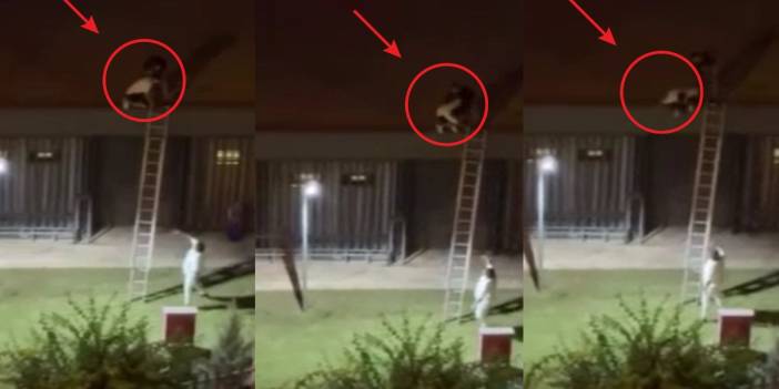 Dehşete düşüren görüntüler: Konseri izlemek için çatıya çıkan genci aşağı attı