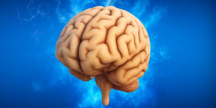 Uzman kardiyolog açıkladı! Beyin gücünü artıran o mucizevi sabah takviyesi