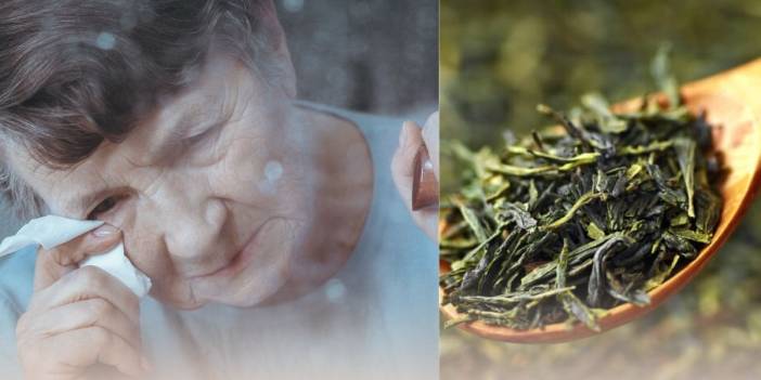 Alzheimer’a karşı doğal kalkan! Uzmanlar önerdi: Hafızayı güçlendiriyor, unutkanlığı azaltıyor!