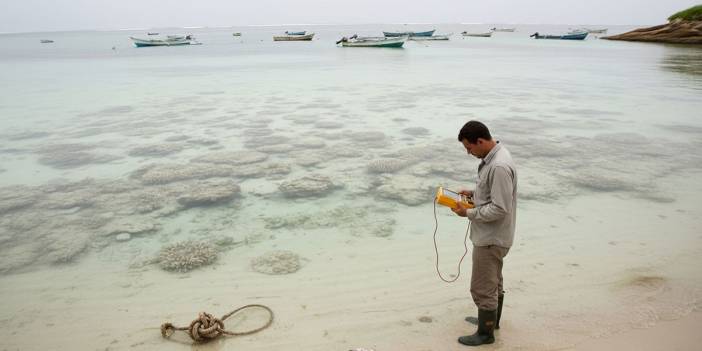 Panama kıyılarında alarm: 40 yıllık döngü kırıldı!