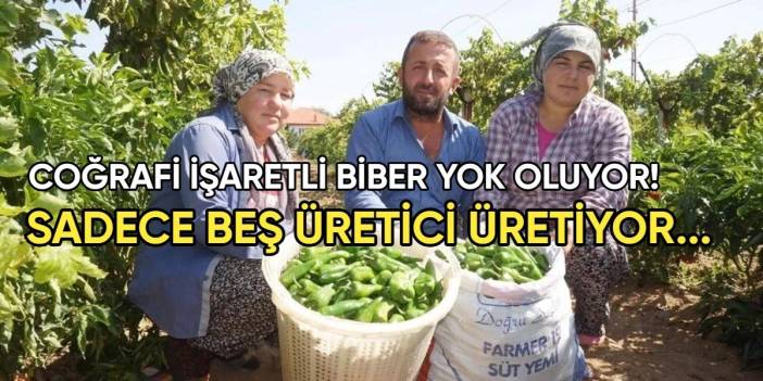 Coğrafi işaretli Emcelli biberi üzüme yenik düştü! Sadece 5 üretici üretiyor