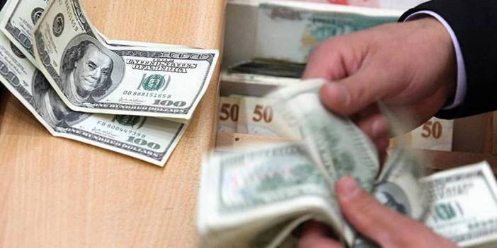 Ekonomistlerin enflasyon ve dolar anketi sonuçlandı: Yıl sonunda dolar 44 lira olacak