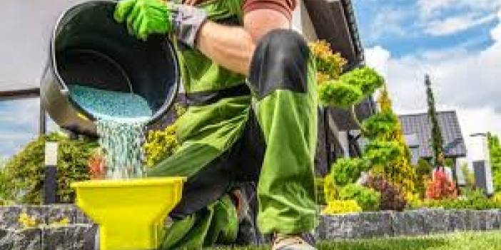 Bahçenizi kış uykusuna yatırmanın tam zamanı: İlkbaharda coşacak bir bahçe için 5 altın kural!