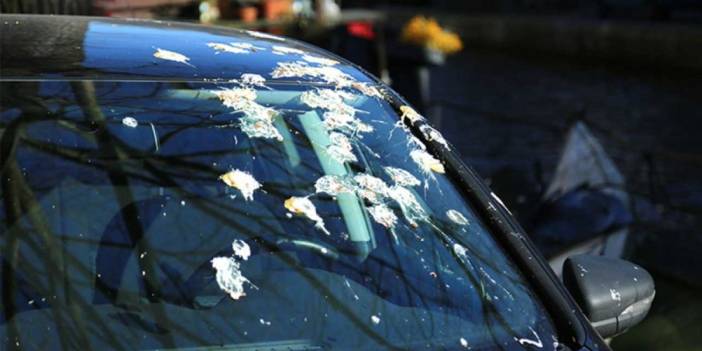 Sakın kuru kuru silmeyin! Arabanın boyasına zarar vermeden kuş pisliğini çıkarmanın en güvenli yolu