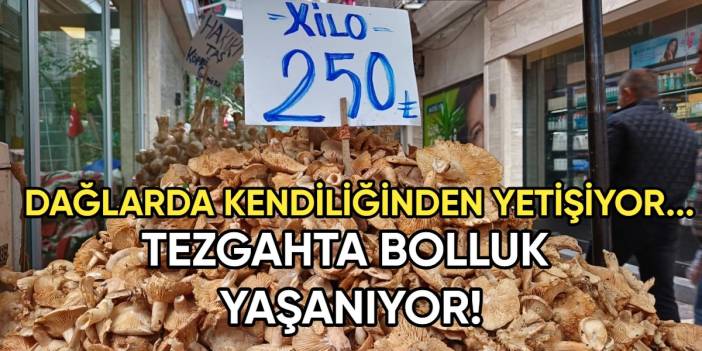 Yüksek rakımda kendiliğinden yetişiyor! Tezgahlarda bolluk yaşanıyor: Fiyatı 250 liradan satışta