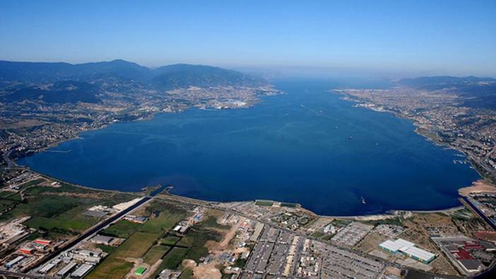 Bir zamanlar kokusuyla anılan İzmit Körfezi şimdi akvaryum gibi: O balık sürüleri geri döndü!