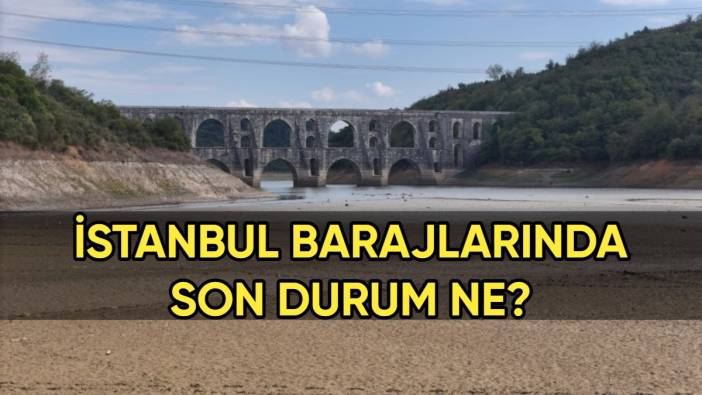 İstanbul'da kırmızı alarm! Barajlar dip seviyeyi gördü: O barajda su yüzde 1'e indi