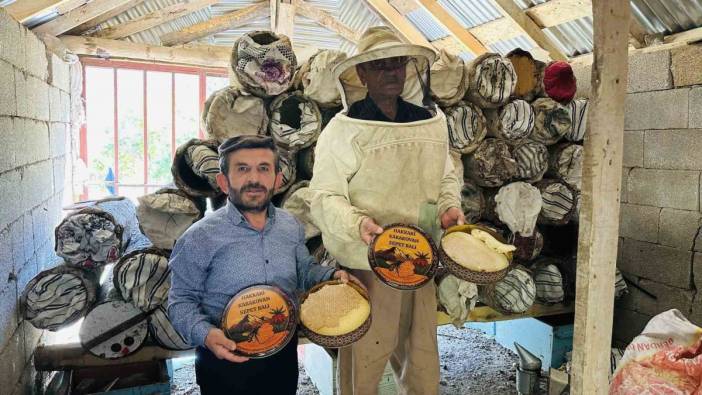 Hakkari'nin 3200 rakımlı zirvelerinden sofralara! Sepet balında hasat başladı: Kilosu 2500 TL'lik sepet balının sırrı ne?