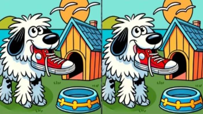 Dahilik testi! Resimdeki sevimli köpeğin sahnesindeki 3 farkı 14 saniyede yalnızca gerçek gözlemciler bulabiliyor!