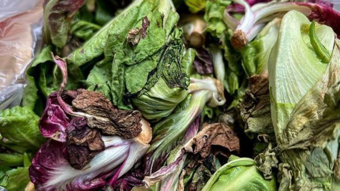 Çöpe giden yeşilliklere ağlamaya son! Poşete koyacağınız bir tane poşet çayın yaratacağı mucizeye inanamayacaksınız