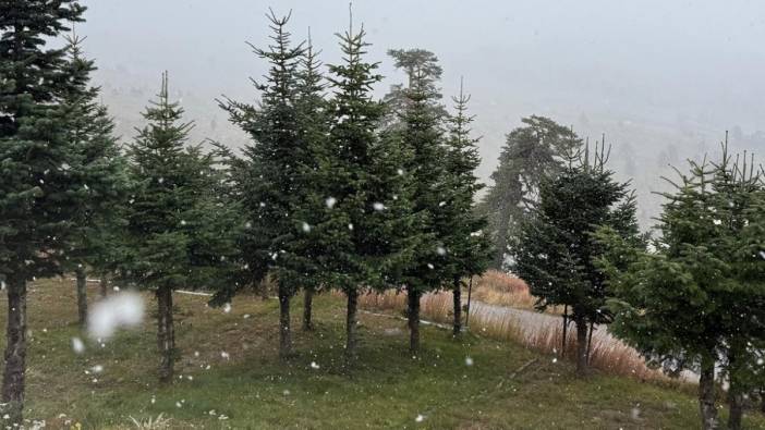 Yağmur beklenirken, kar yağdı! Yılın ilk karı yere değdi: Bolu’da özlenen görüntüler ortaya çıktı
