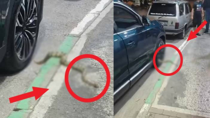 Otomobilin jantından çıktı! Görenler şok oldu: Mahalleliyi bile tedirgin etti