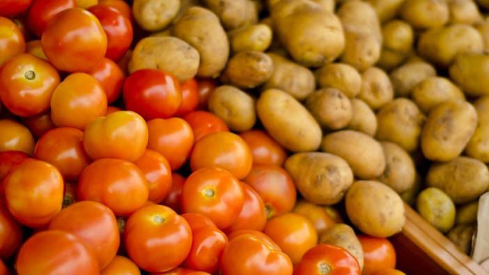 Patatesin dramatik hikayesi! Meğer domates genleri sayesinde hayatta kalmış