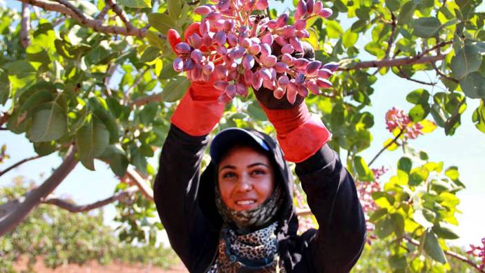 İflas kapıda! Tarım Bakanlığı'na sert tepki: Derhal geri çekin!