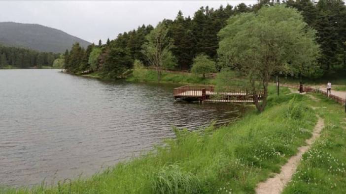 Milli parklarda doğayı talana açan düzenleme: Otel yapılabilecek