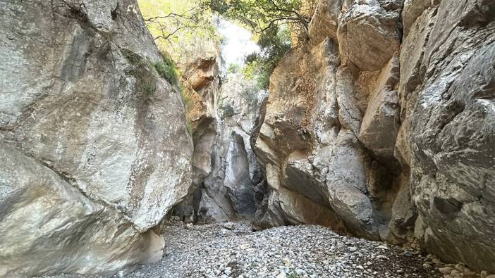 Alabalık tesisleri kapandı, kuşların bile içecek suyu kalmadı! Türkiye'nin dört büyük kanyonundan biri kurudu