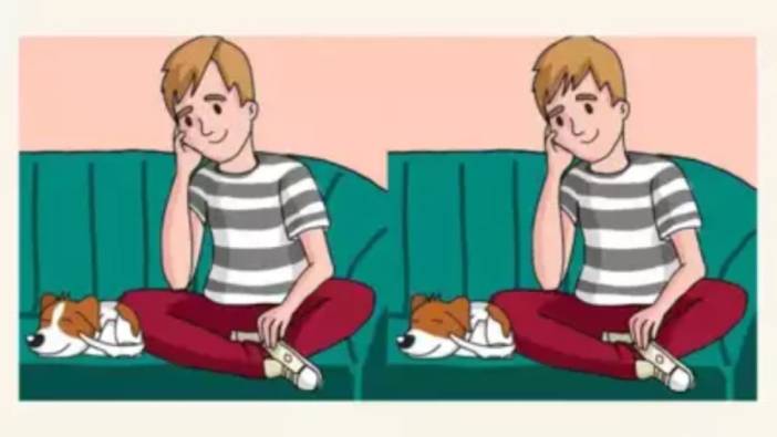 Gözleriniz ne kadar keskin? Bu resimdeki 3 farkı 12 saniyede yalnızca dahiler bulabiliyor