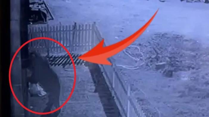 Rize'de ev sahibini şoke eden görüntüler! Kapıyı zorlayanın kim olduğunu görünce gözlerine inanamadı