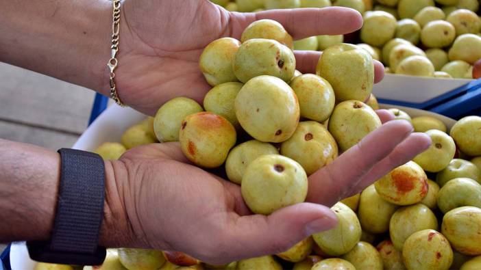 Kilosu 125 TL: Hem tok tutuyor, hem bağışıklığı güçlendiriyor!