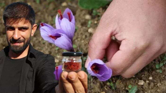 150 çiçekten bir gram elde ediliyor! Dünyanın en pahalı baharatı olarak biliniyor: Gramı 500 liraya satılıyor