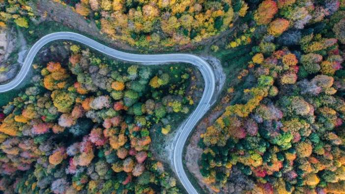 Burası İsveç ya da Norveç değil, Türkiye! Çam Dağı'nda nefes kesen manzara: 900 rakımlı dağ film sahnelerini aratmadı