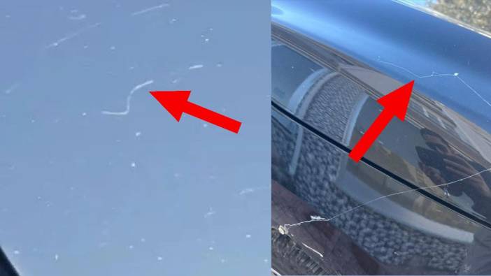 Gökyüzünde beyaz iplik şöleni! Tekirdağ'da gökyüzünden örümcek ağı yağdı