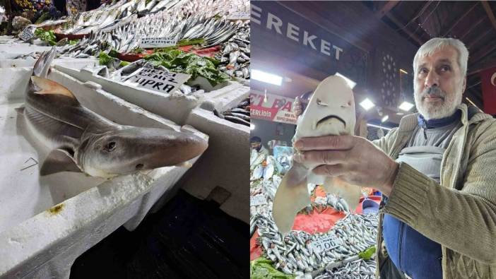 Tarihi çarşıda şaşırtan manzara! Elazığ’da tezgaha köpek balığı konuldu!