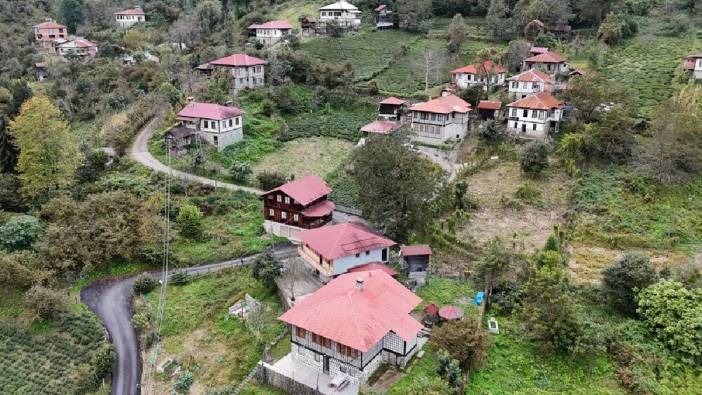 Her köşesinde doğallık taşıyor! En fazla tescilli yapı burada bulunuyor: Türkiye’nin ziyaretçi akınına uğrayan Arılı Köyü