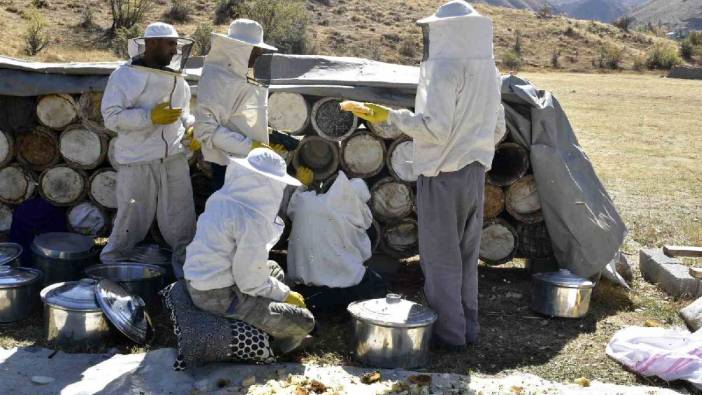 3 kere dünya birinciliği aldı! Meşhur balda hasat devam ediyor: Kilosu 3.000 TL’den yoğun talep görüyor