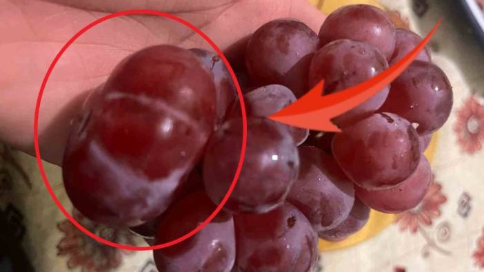 Manavdan sadece 1 kilo aldı ama içinden rekor kıran sürpriz çıktı! Normalden 20 gram fazla