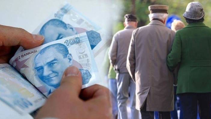 OECD'den ‘çifte maaş’ düzenlemesi çağrısı: Çalışan emeklinin aylığı kesilmesin