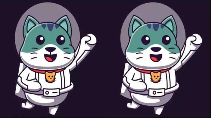 Uzayda zeka testi! Astronot kedinin resmindeki 3 farkı 12 saniyede bulanlar dahi ilan ediliyor