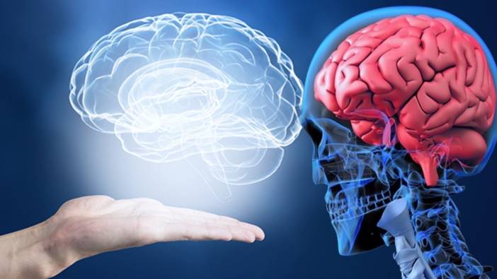 Bilimsel araştırmalar ortaya koydu! Beyin 32 yaşına kadar ergenlik geçiriyor: İşte beynin geçirdiği 5 evre