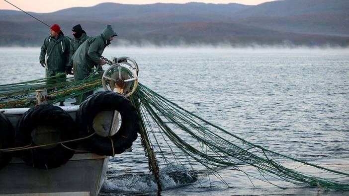 Balıkçılar isyanda: Hamsi 50 TL’ye düştü, alıcı bulunamadı
