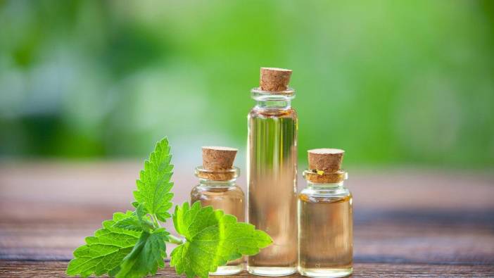 Bunları öğrenince hemen eve nane yağı alacaksınız! Uçucu nane yağının bilinmeyen 5 faydası