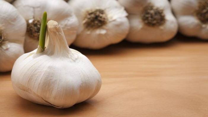 Sarımsakların filizlenmesini önlemek çok kolay! Tek malzemeyle haftalarca saklanıyor