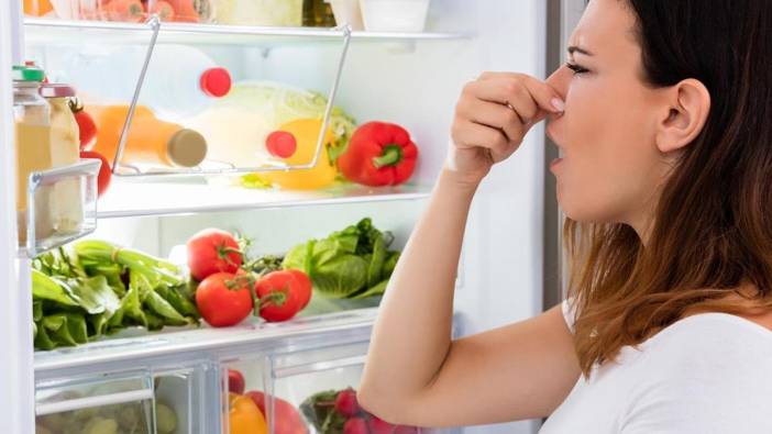 Buzdolabındaki inatçı kokuları en hızlı kesen yöntem! Ne karbonat ne sirke... Sünger görevi grüyor