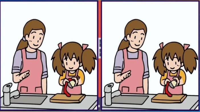 Zihinleri zorlayan mutfak testi: Yüksek IQ'ya sahip olanlar 12 saniyede çözüyor