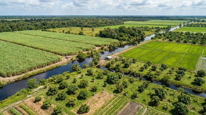 Dünyada tarımda kendi kendine yetebilen tek bir ülke var!