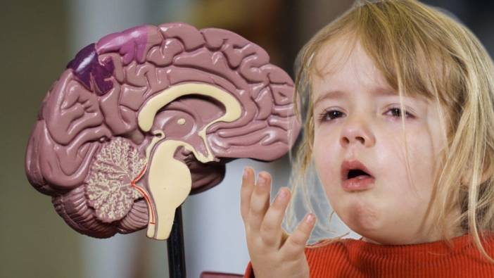 Öksürük nöbeti değil, sessiz katil: Bebeklerde beyin hasarı riski! Uzmanlar 'ilk 5 ay' için tek çareyi açıkladı