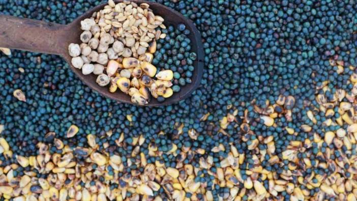 Evliya Çelebi'nin sırrı ortaya çıktı! Üşümeyi kesiyor, kana kan katıyor! İşte Anadolu'nun unutulan 'Atom'u