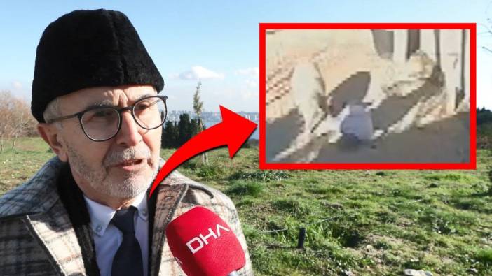 Silivri'deki dehşetin altından 'oyun' çıktı! Profesörden hayat kurtaran uyarı: "Yatıp kalsaydı burnu bile kanamazdı"