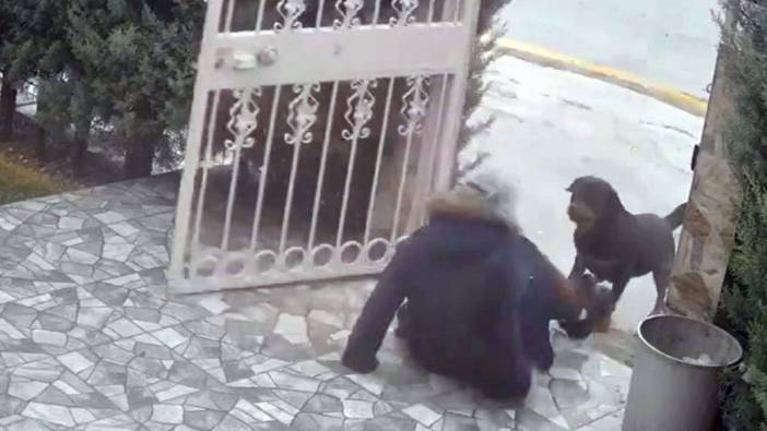 Yolda yürürken neye uğradığını şaşırdı! Sahipsiz köpeklerin saldırdığı kadını komşusu son anda kurtardı