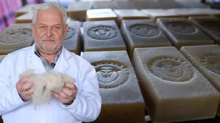 Türk bilim insanından 'koyun yünü sabunu' devrimi! Saçınıza sürdüğünüzde etkisini anında hissediyorsunuz