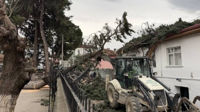 Okulların tatil olması büyük bir faciayı engelledi! Okul bahçesindeki dev çam ağacı evin üstüne devrildi